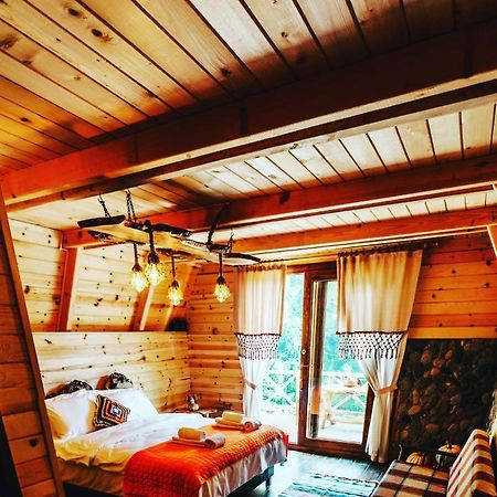 Purkinora Bungalov Çamlıhemşin المظهر الخارجي الصورة