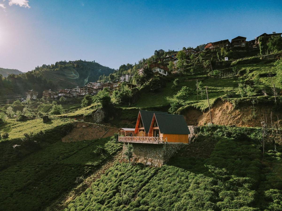 Purkinora Bungalov Çamlıhemşin المظهر الخارجي الصورة