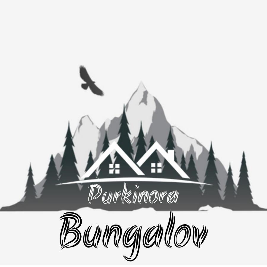 Purkinora Bungalov Çamlıhemşin المظهر الخارجي الصورة