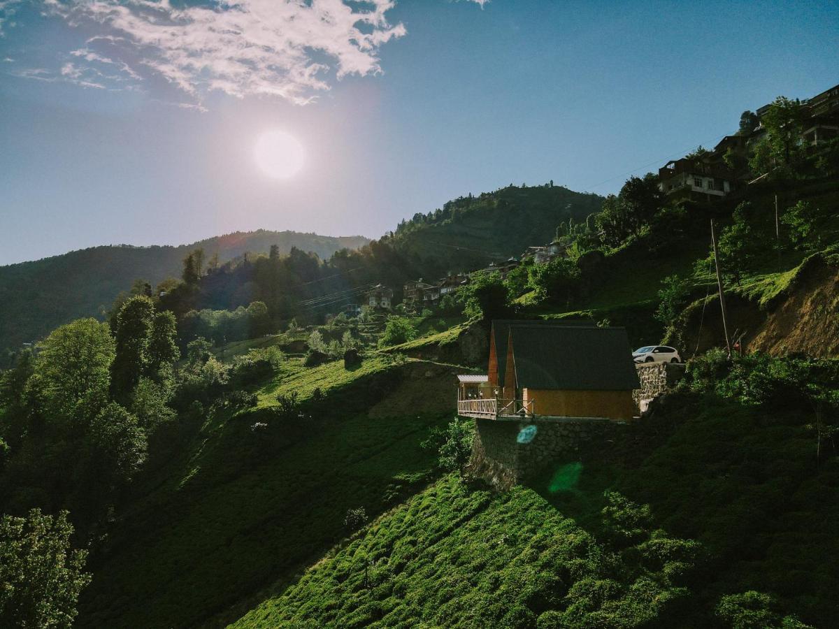 Purkinora Bungalov Çamlıhemşin المظهر الخارجي الصورة