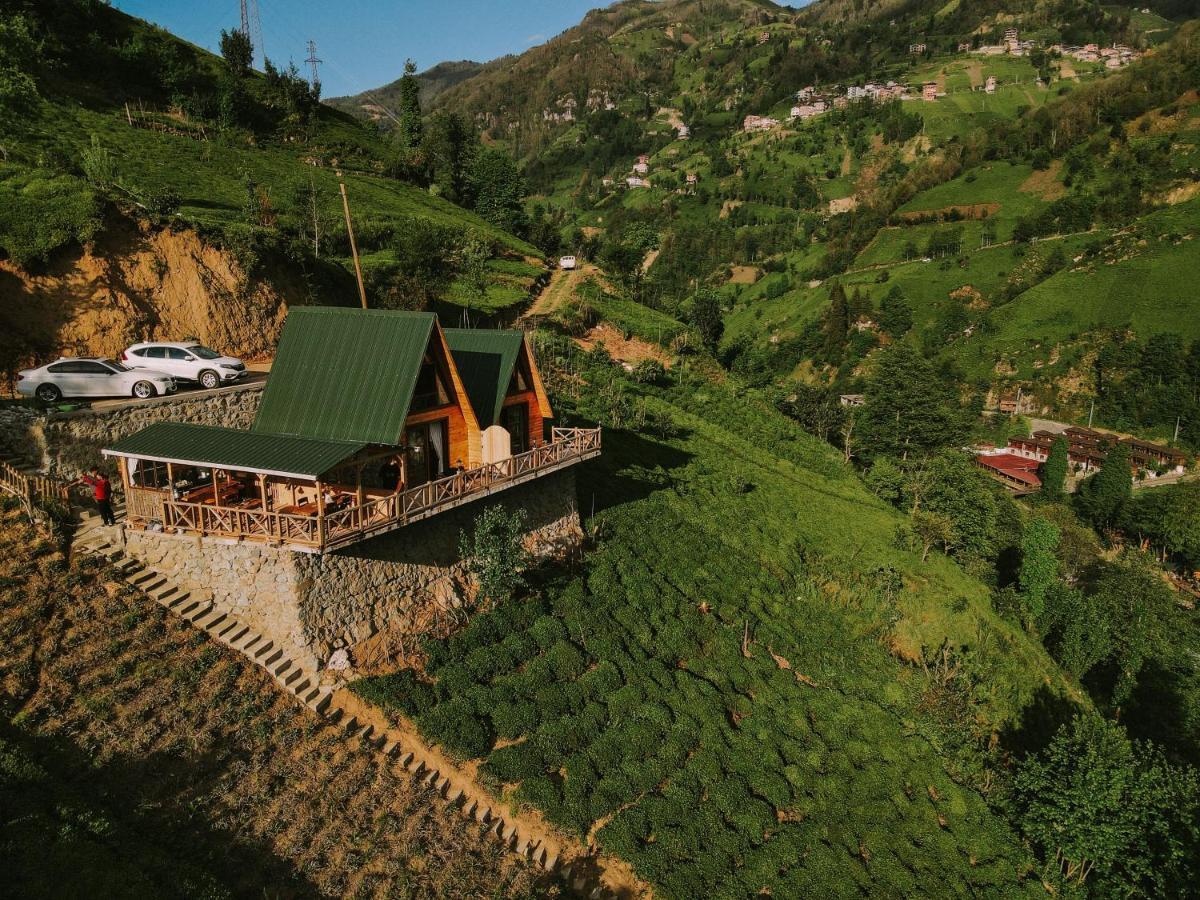 Purkinora Bungalov Çamlıhemşin المظهر الخارجي الصورة