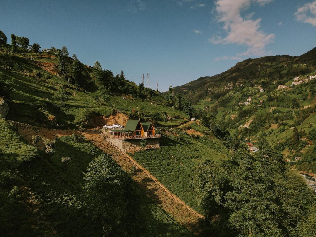 Purkinora Bungalov Çamlıhemşin المظهر الخارجي الصورة