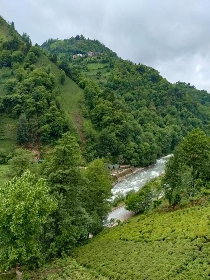 Purkinora Bungalov Çamlıhemşin المظهر الخارجي الصورة