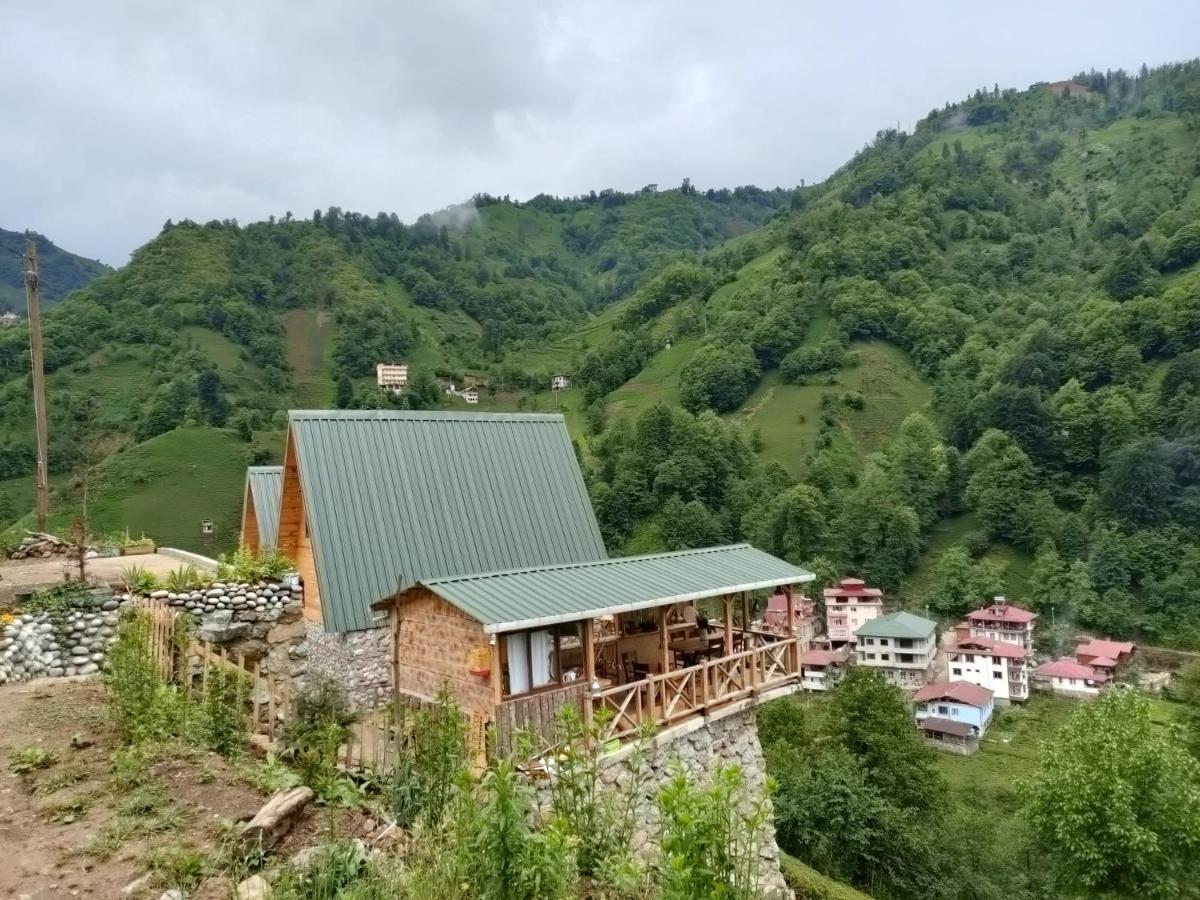 Purkinora Bungalov Çamlıhemşin المظهر الخارجي الصورة