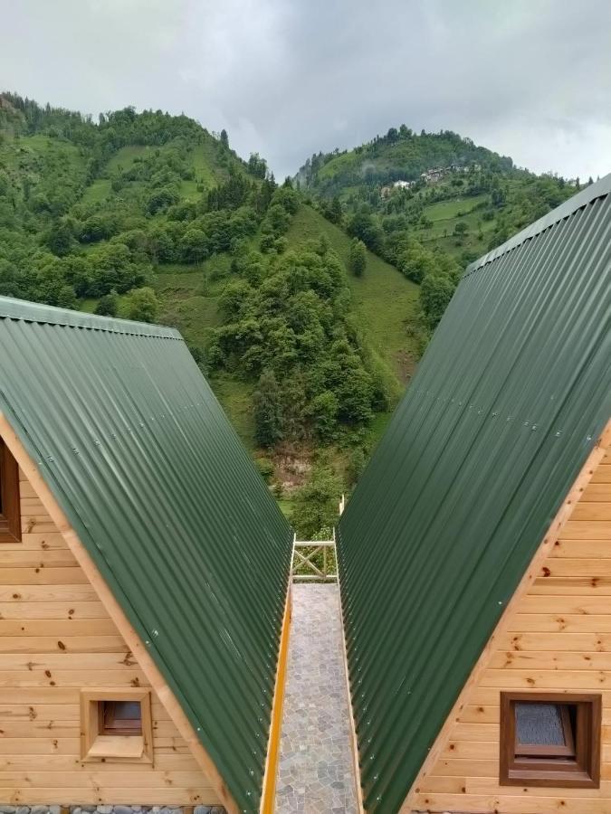 Purkinora Bungalov Çamlıhemşin المظهر الخارجي الصورة