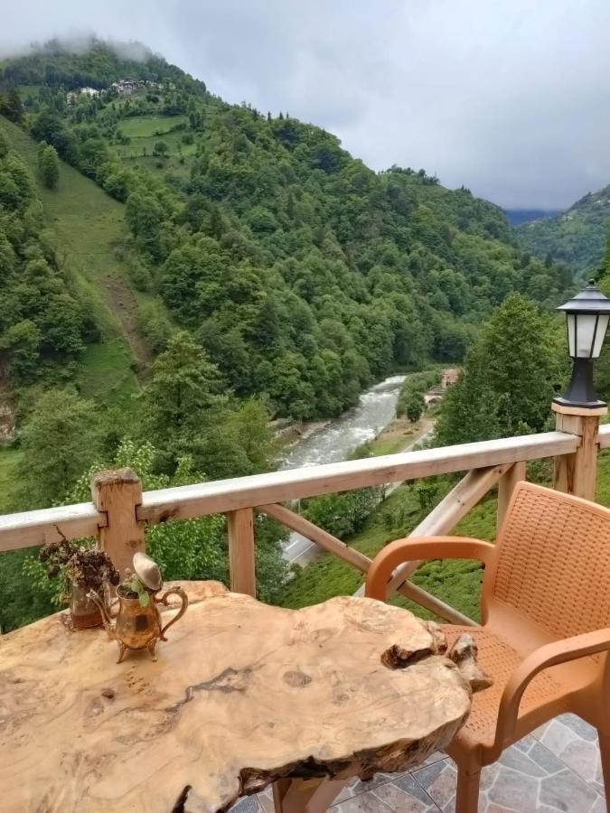 Purkinora Bungalov Çamlıhemşin المظهر الخارجي الصورة