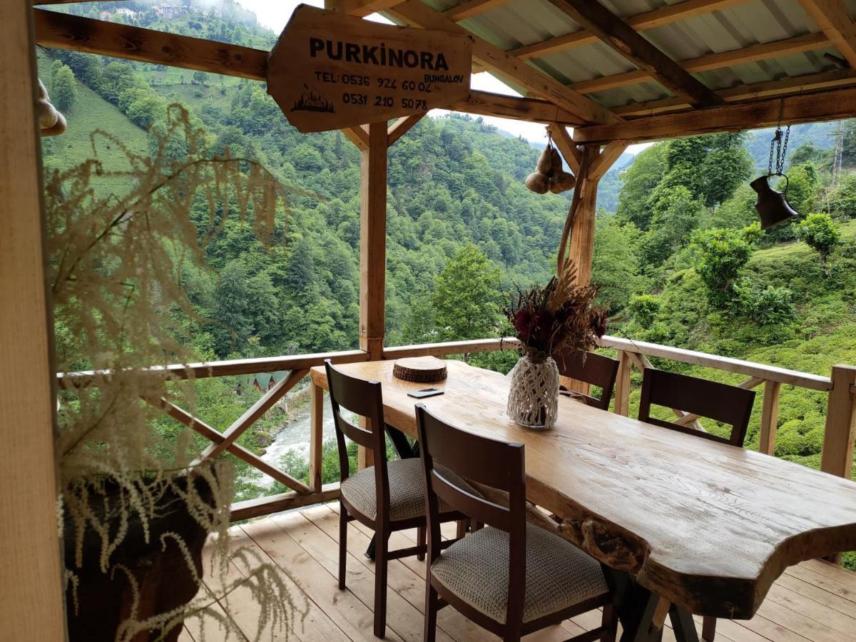 Purkinora Bungalov Çamlıhemşin المظهر الخارجي الصورة