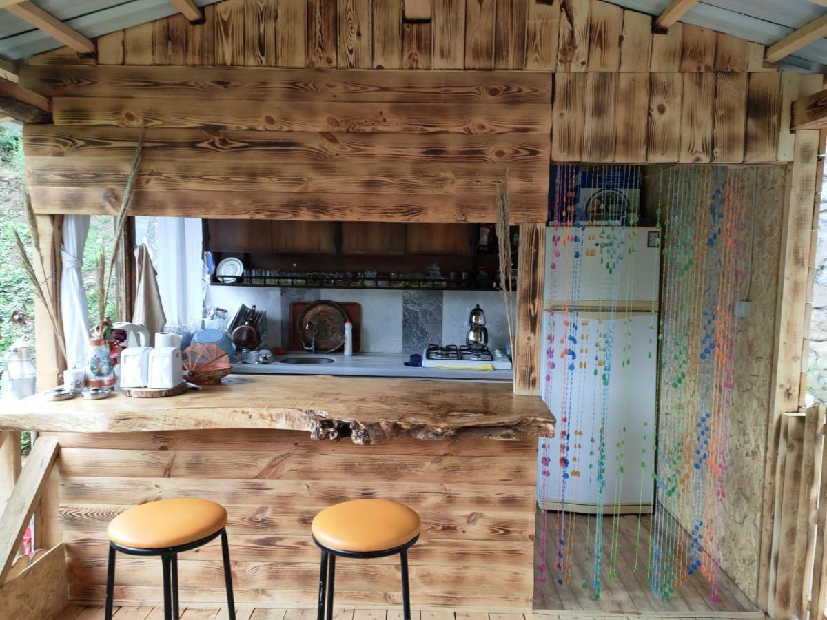 Purkinora Bungalov Çamlıhemşin المظهر الخارجي الصورة