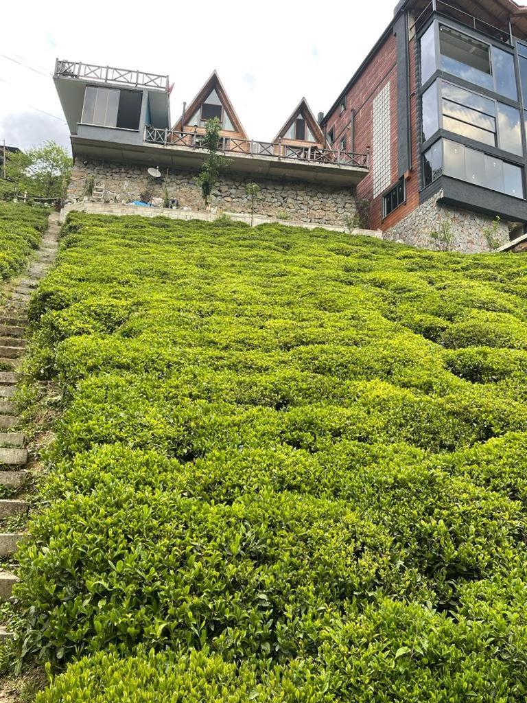 Purkinora Bungalov Çamlıhemşin المظهر الخارجي الصورة