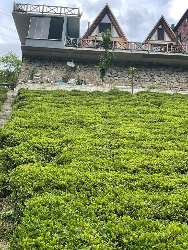 Purkinora Bungalov Çamlıhemşin المظهر الخارجي الصورة